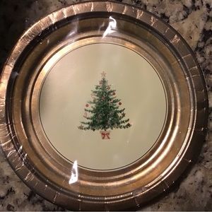 3 sets of 8 Christmas plates (24 total)